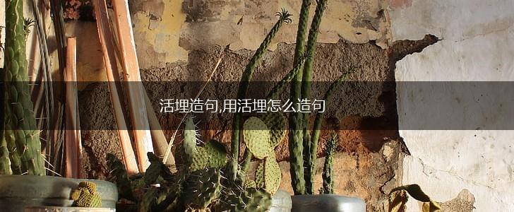 活埋造句,用活埋怎么造句,第1张 活埋造句,用活埋怎么造句,第1张