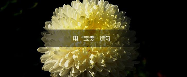 用“宝贵”造句,第1张