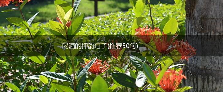 喝酒的押韵句子(推荐50句),第1张