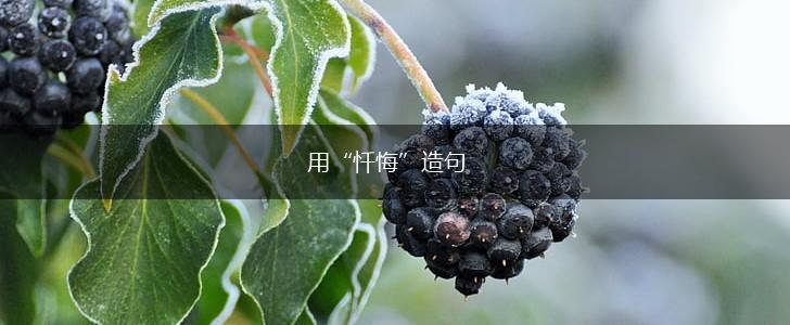 用“忏悔”造句,第1张