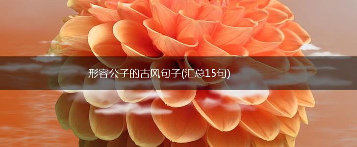 形容公子的古风句子(汇总15句),第1张