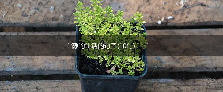 宁静的生活的句子(10句),第1张