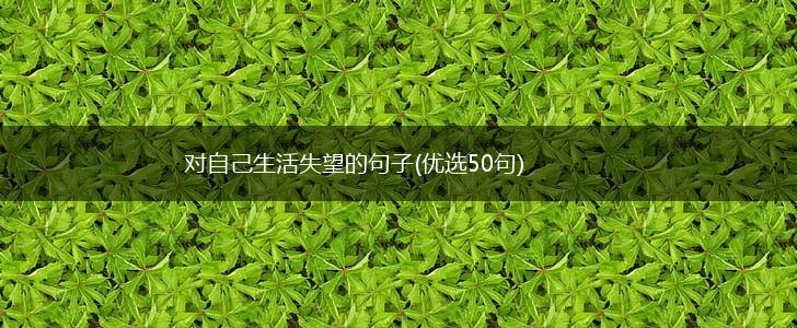 对自己生活失望的句子(优选50句),第1张