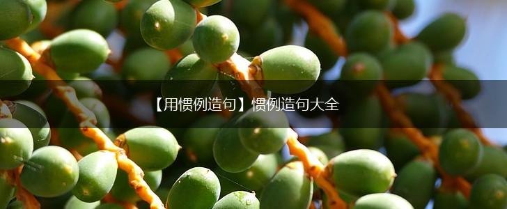 【用惯例造句】惯例造句大全,第1张 【用惯例造句】惯例造句大全,第1张
