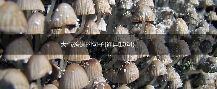 大气磅礴的句子(通用10句),第1张