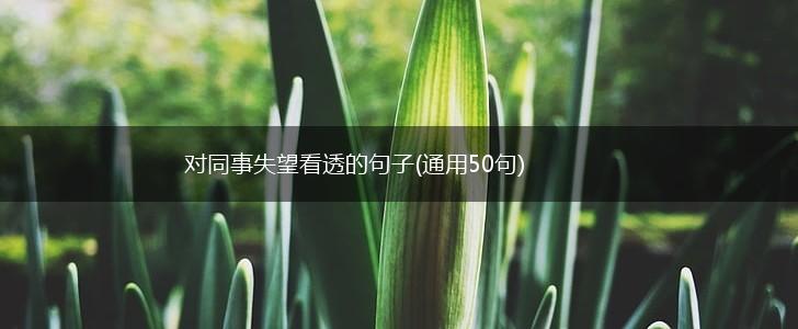 对同事失望看透的句子(通用50句),第1张