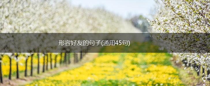 形容好友的句子(通用45句),第1张