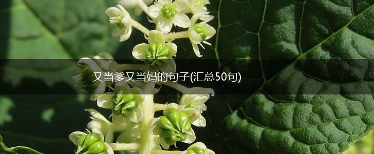 又当爹又当妈的句子(汇总50句),第1张