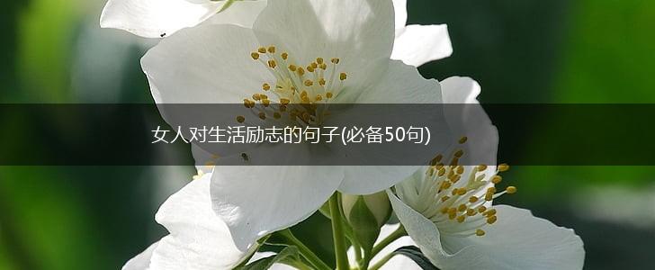 女人对生活励志的句子(必备50句),第1张