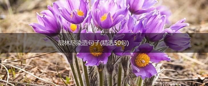 层林尽染造句子(精选50句),第1张