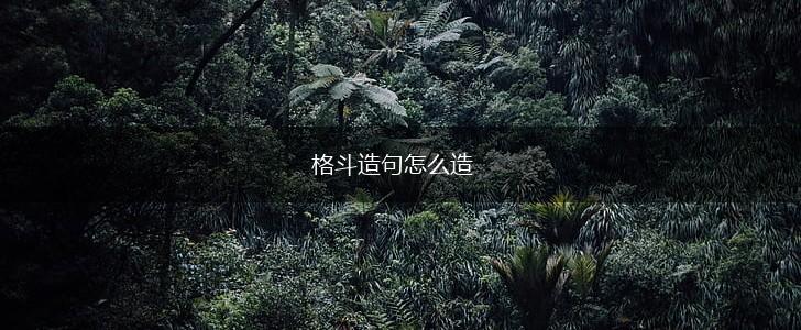 格斗造句怎么造,第1张 格斗造句怎么造,第1张