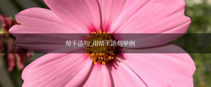 帮手造句_用帮手造句举例,第1张