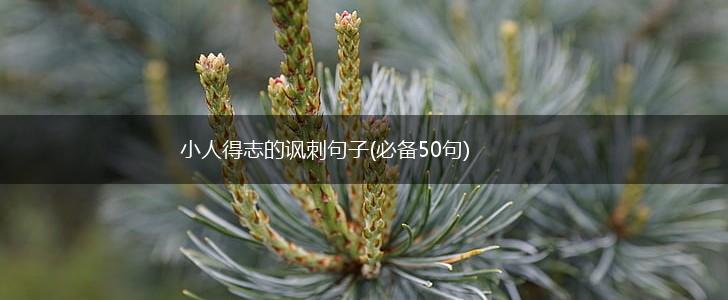 小人得志的讽刺句子(必备50句),第1张