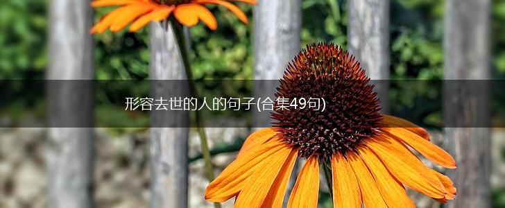 形容去世的人的句子(合集49句),第1张
