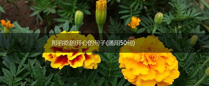 形容吃的开心的句子(通用50句),第1张