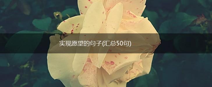 实现愿望的句子(汇总50句),第1张