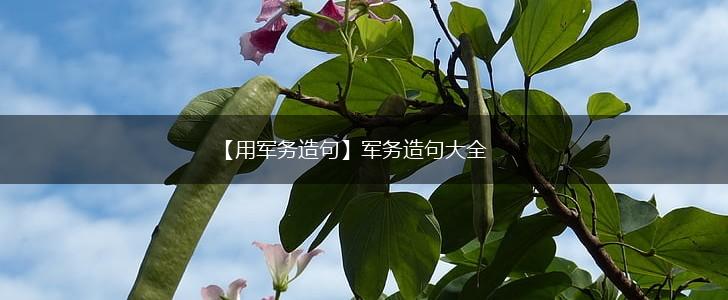 【用军务造句】军务造句大全,第1张 【用军务造句】军务造句大全,第1张