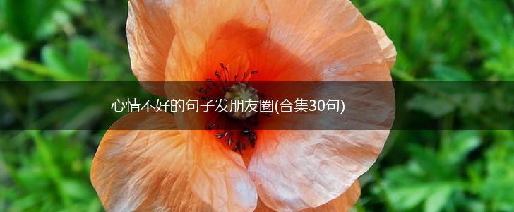 心情不好的句子发朋友圈(合集30句),第1张