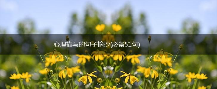 心理描写的句子摘抄(必备51句),第1张