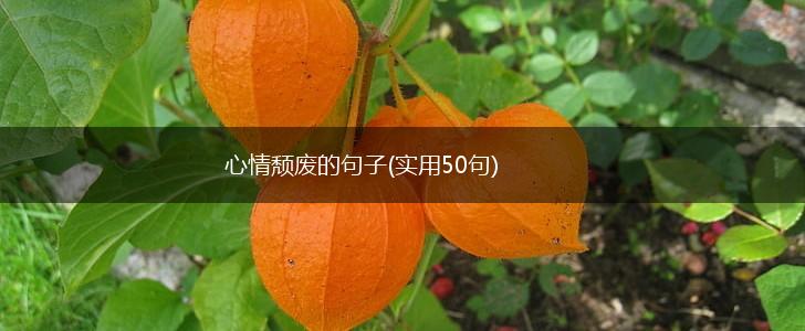 心情颓废的句子(实用50句),第1张
