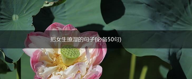把女生撩湿的句子(必备50句),第1张
