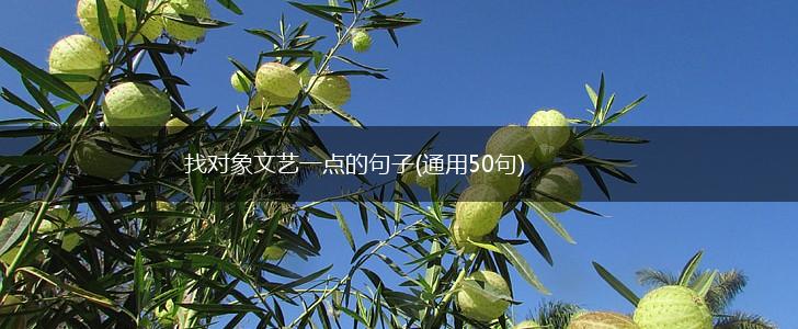 找对象文艺一点的句子(通用50句),第1张