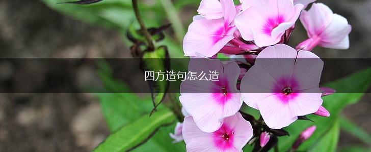 四方造句怎么造,第1张 四方造句怎么造,第1张