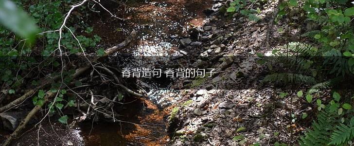 脊背造句 脊背的句子,第1张 脊背造句 脊背的句子,第1张