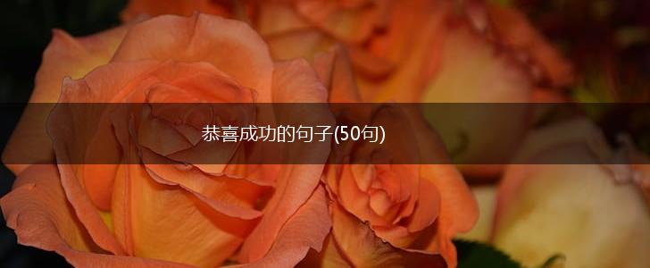 恭喜成功的句子(50句),第1张