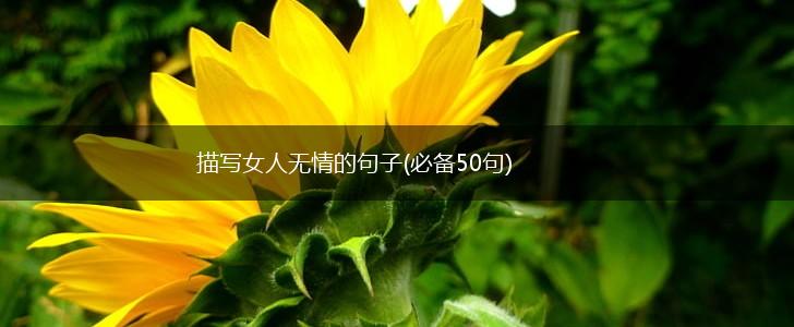描写女人无情的句子(必备50句),第1张