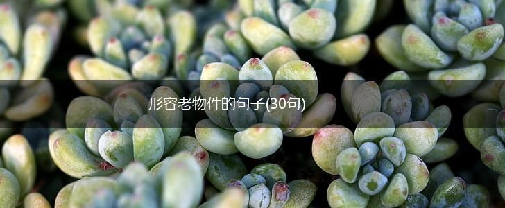 形容老物件的句子(30句),第1张