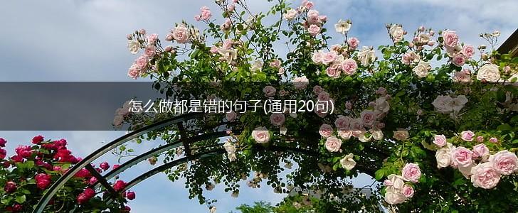 怎么做都是错的句子(通用20句),第1张