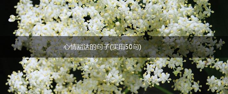 心情豁达的句子(实用50句),第1张