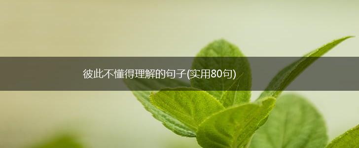 彼此不懂得理解的句子(实用80句),第1张