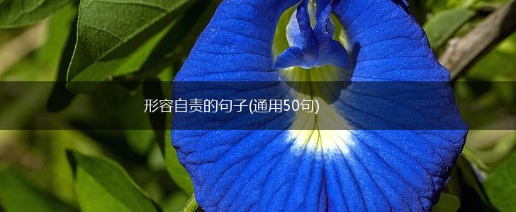 形容自责的句子(通用50句),第1张
