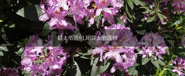 县太爷造句,用县太爷造句,第1张 县太爷造句,用县太爷造句,第1张