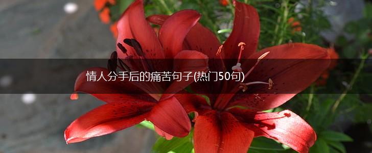情人分手后的痛苦句子(热门50句),第1张