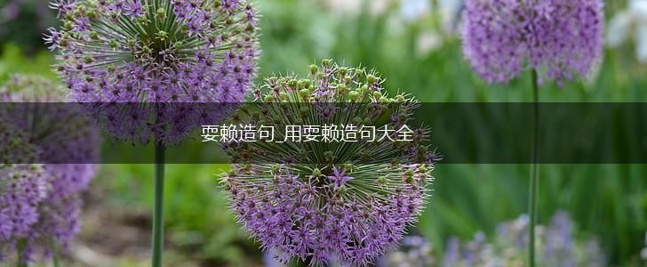 耍赖造句_用耍赖造句大全,第1张 耍赖造句_用耍赖造句大全,第1张