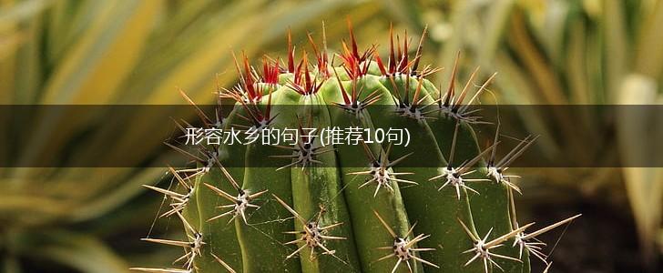 形容水乡的句子(推荐10句),第1张