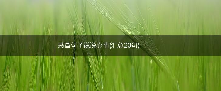 感冒句子说说心情(汇总20句),第1张