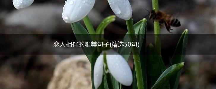 恋人相伴的唯美句子(精选50句),第1张