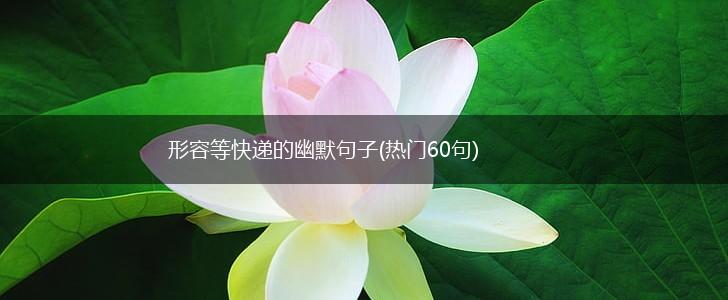 形容等快递的幽默句子(热门60句),第1张