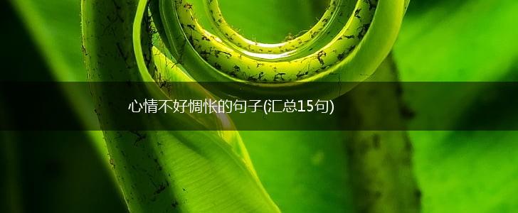 心情不好惆怅的句子(汇总15句),第1张