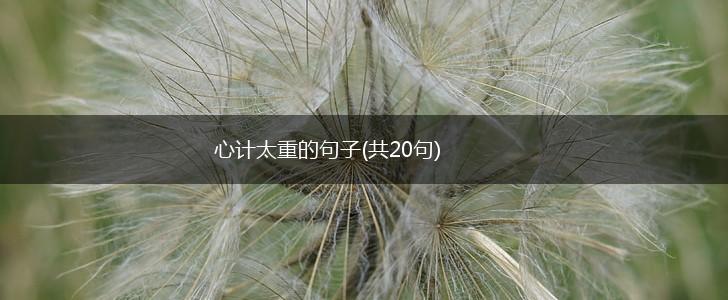 心计太重的句子(共20句),第1张