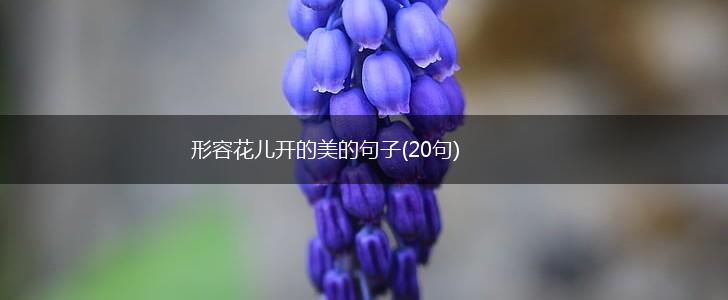 形容花儿开的美的句子(20句),第1张