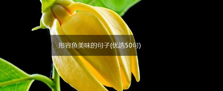 形容鱼美味的句子(优选50句),第1张