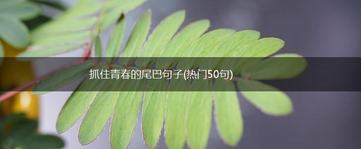抓住青春的尾巴句子(热门50句),第1张
