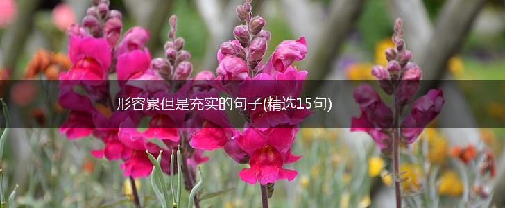 形容累但是充实的句子(精选15句),第1张