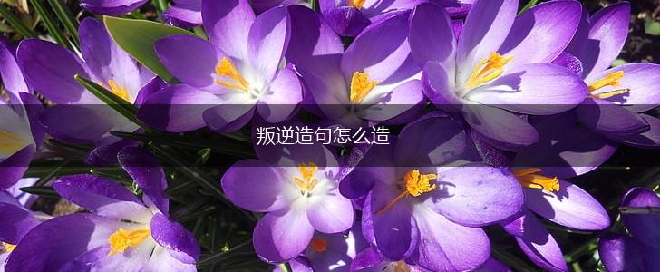 叛逆造句怎么造,第1张 叛逆造句怎么造,第1张