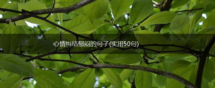 心情纠结郁闷的句子(实用50句),第1张